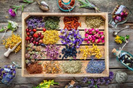 Types of Healing Herbs Image